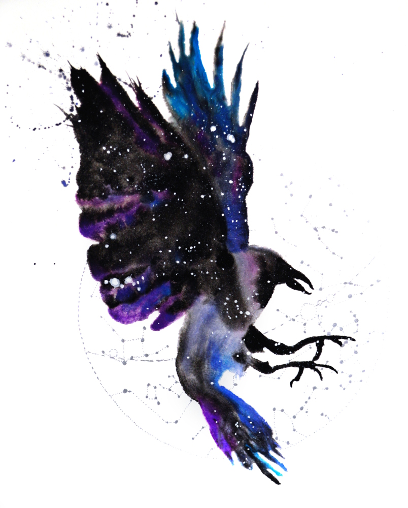 Raven / Crow | Cosmic Animal Meanings, Messages & Dreams