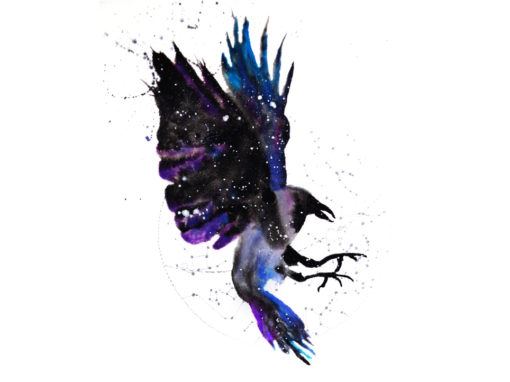 Raven / Crow