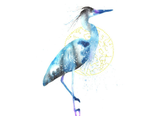 Blue Heron / Egret