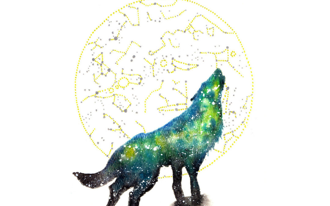 Wolf Cosmic Animal Meaning Medicine Magic
