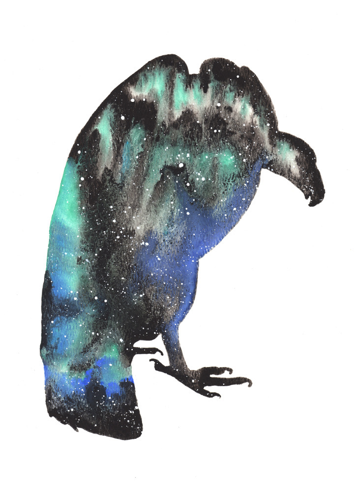 Vulture | Cosmic Animal Meanings, Messages & Dreams