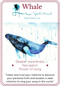 Whale totem animal symbolism and meaning