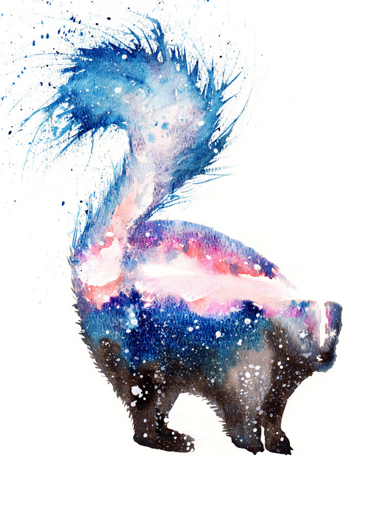 Skunk | Cosmic Animal Meanings, Messages & Dreams