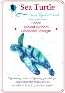 Sea Turtle | Cosmic Animal Meanings, Messages & Dreams