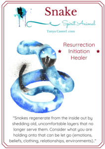 Snake | Cosmic Animal Meanings, Messages & Dreams