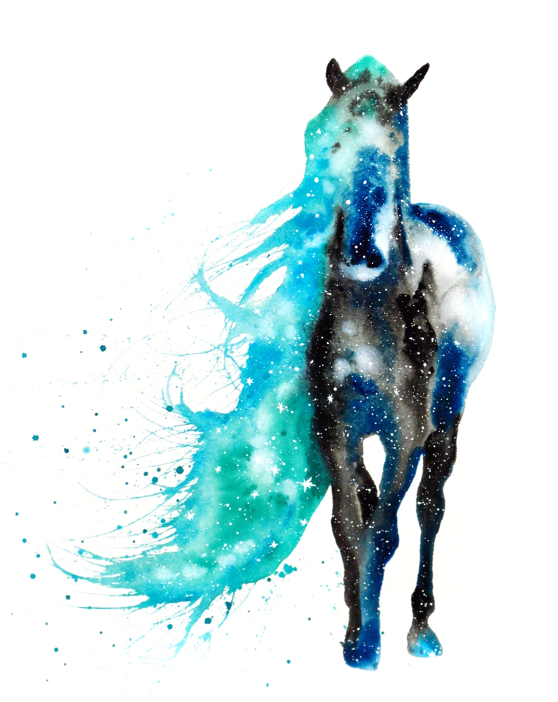 Wild Horse | Cosmic Animal Meanings, Messages & Dreams