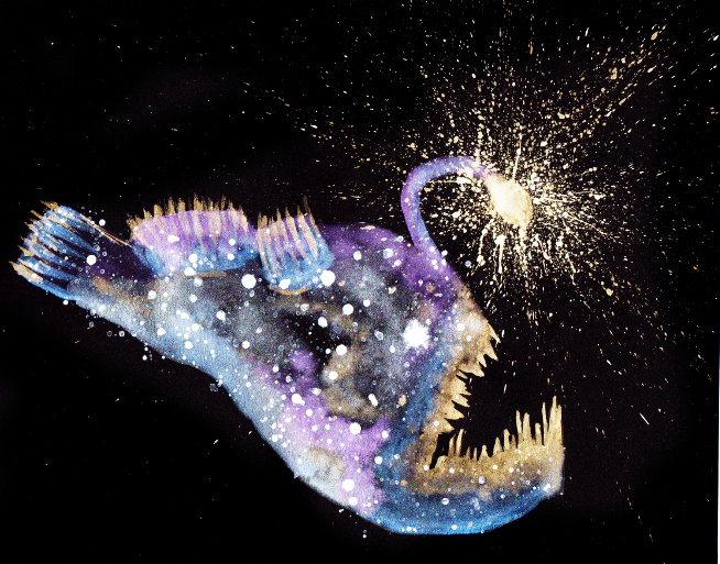 Anglerfish | Cosmic Animal Meanings, Messages & Dreams
