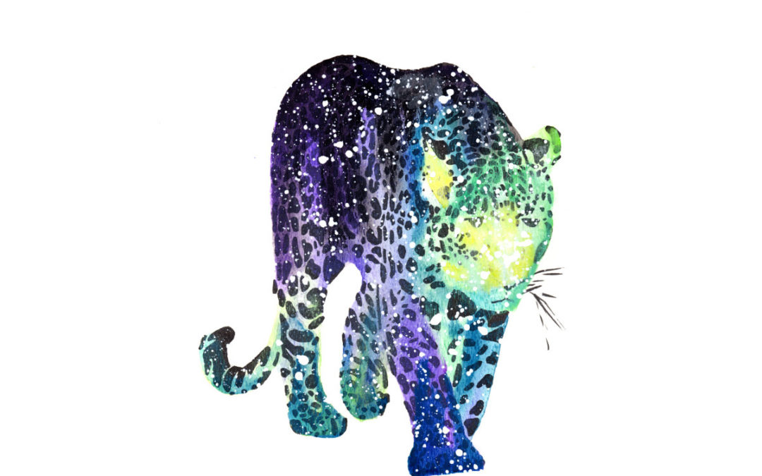 Snow Leopard | Cosmic Animal Meanings, Messages & Dreams