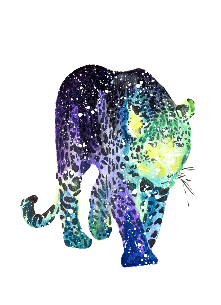 Snow Leopard | Cosmic Animal Meanings, Messages & Dreams