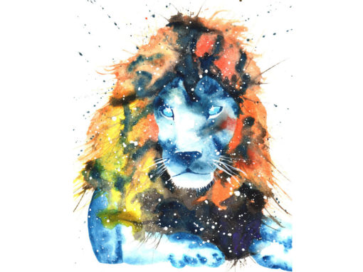 Lion / Lioness