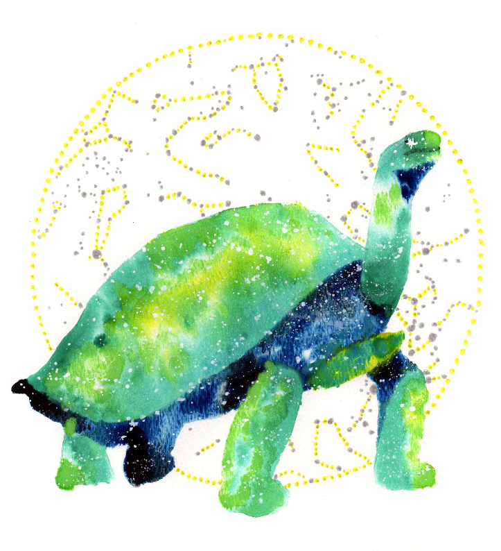 Tortoise | Cosmic Animal Meanings, Messages & Dreams
