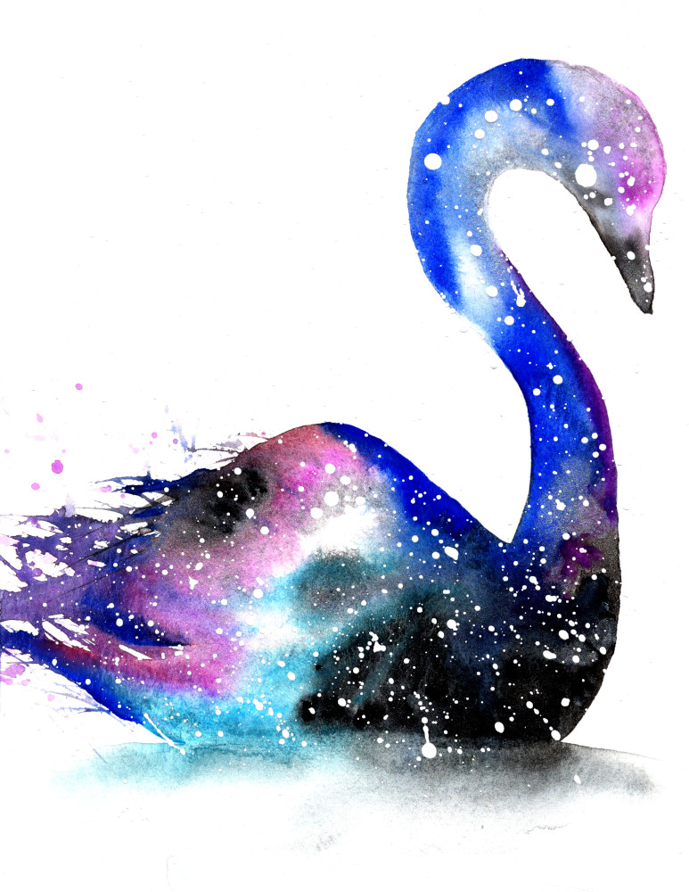 Swan | Cosmic Animal Meanings, Messages & Dreams